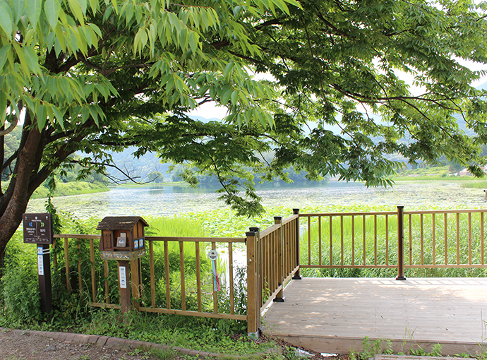 다산생태공원의 모습